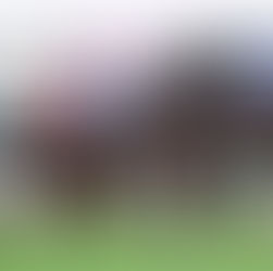 Virtudes para soñar en el promisorio potrillo Contado