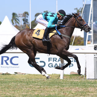 Full Question y Señor Miguel ya piensan en el Ramírez y en el Chevalier