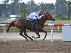 Illa Alegre looks to extend her spring streak… though the Gnecco won’t be a walk in the park