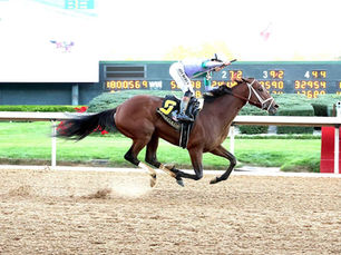Renegade fue una fantasía en el Arkansas Derby y mira el Derby