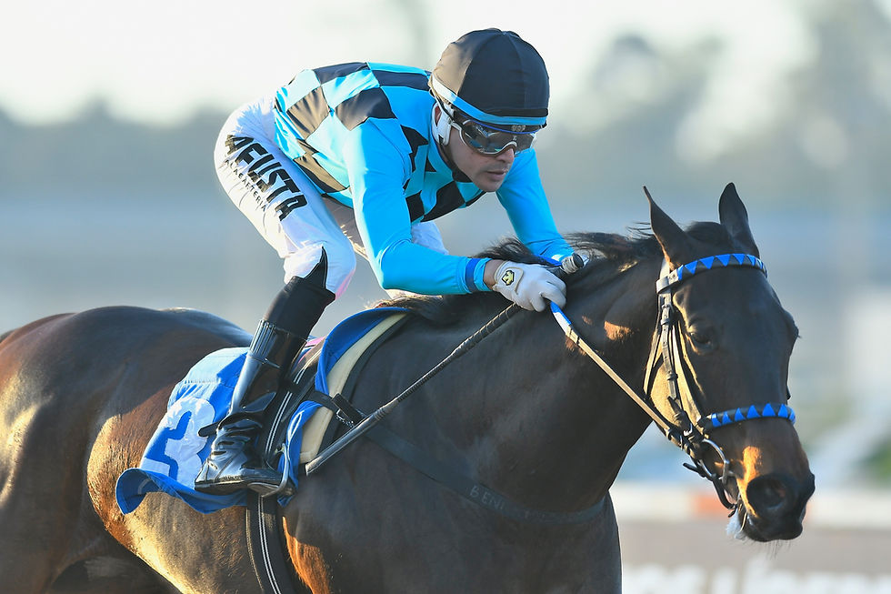 Entre Moon Frank y Charm, la corona de las potrancas en el Gran Premio Selección