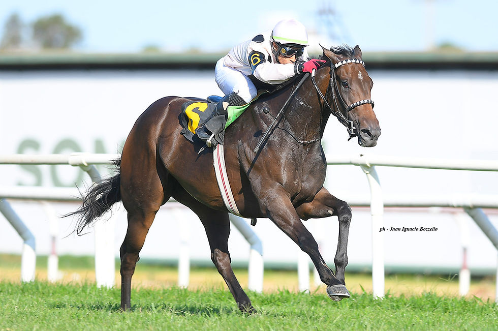 Lessons of Life tiene una linda ocasión para dar el salto / JUAN I. BOZZELLO