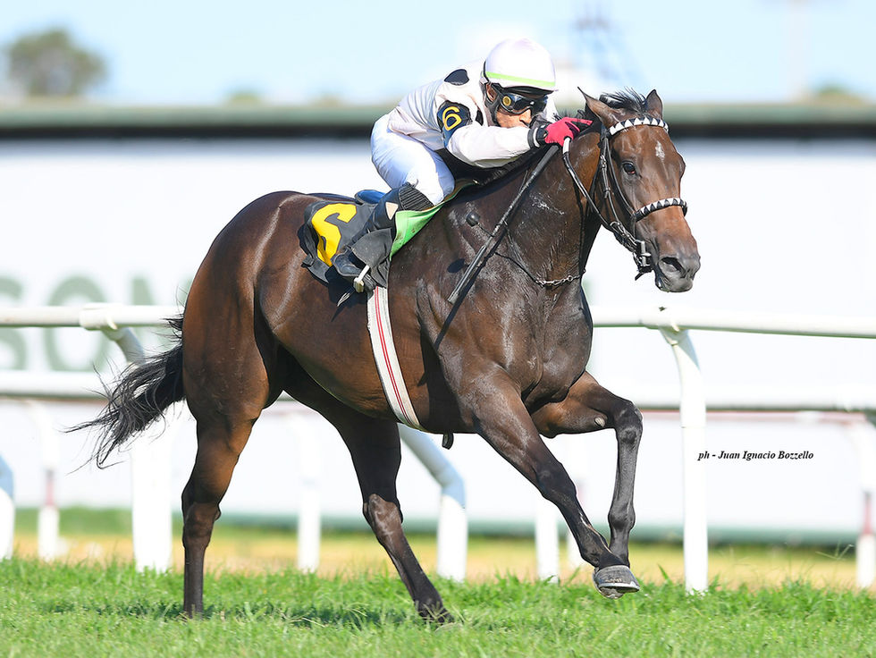 Lessons of Life sube a la milla y el Fernández Guerrico es su objetivo