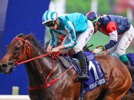 Romantic Warrior entró definitivamente en la eternidad al conquistar la Triple Corona de Hong Kong