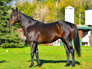 Ucrania mantuvo su invicto y para Señor Dalton llegó el segundo éxito