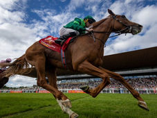 Aidan O’Brien secured a monumental 18th Irish Derby title in spectacular fashion as Benvenuto Cellini spearheaded a dominant top-three sweep for the powerhouse stable