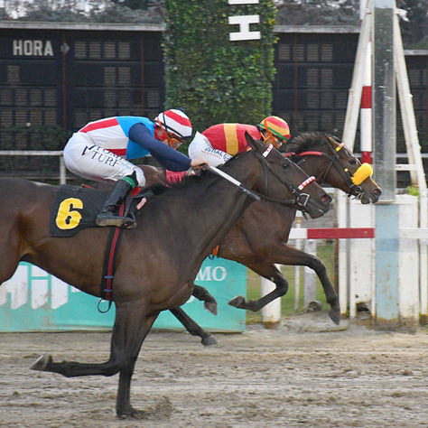 Lunfardo Turned Frowns into Smiles with His Victory in the Clásico Old Man