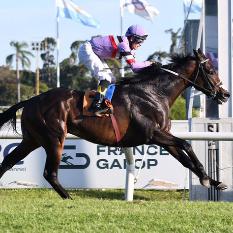 Forgging hizo sentir su ritmo y alcanzó una promisoria victoria en el Tresiete