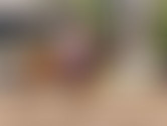 Strong Attractions at Palermo with the Eduardo Casey and Vicente L. Casares