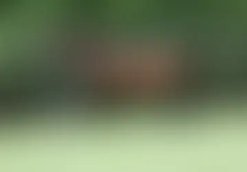 Murió Zamindar, el padre de la inolvidable Zarkava y una pieza clave de Juddmonte