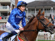 Notable Speech volvió a ser Notable Speech y ya apunta a otra Breeders’ Cup