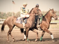 Festín, la tarde en que un argentino silenció a los gigantes en el Oaklawn Handicap