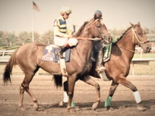 Festín, the Day an Argentine Silenced the Giants in the Oaklawn Handicap