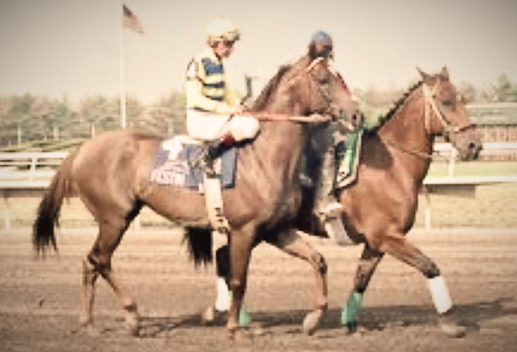 Festín, la tarde en que un argentino silenció a los gigantes en el Oaklawn Handicap