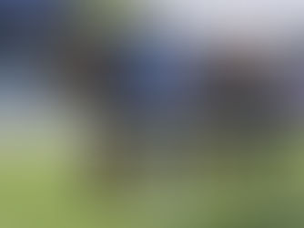 Maggie Go, en el podio del Sand Springs de Gulfstream Park