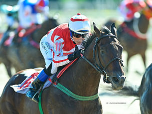 In Honor of "La Fiera": Palermo Pays Tribute to Juan Alberto Maciel