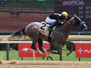 El Fountain of Youth se va armando y Napoleón Solo podría ser gran figura