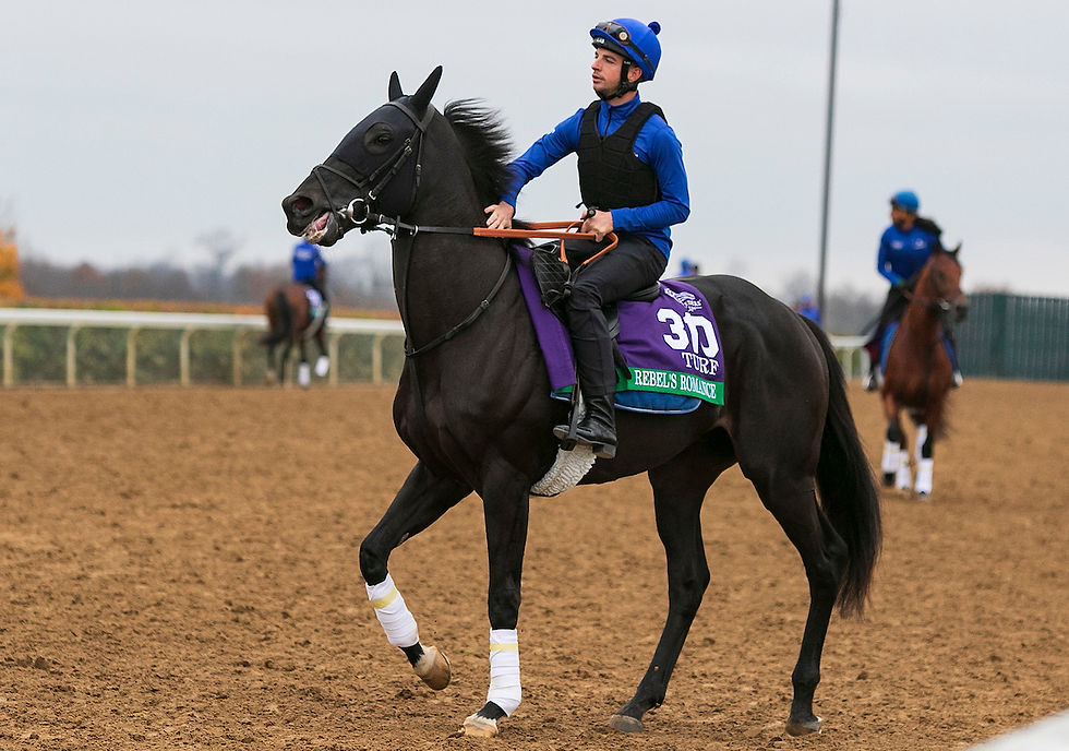 Rebel's Romance, uno de los mejores caballos del mundo sobre el césped / ARCHIVO / BREEDERS' CUP