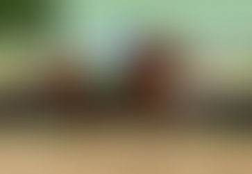 Zany vuelve en el Ashland Stakes con aura de estrella y credenciales de sobra