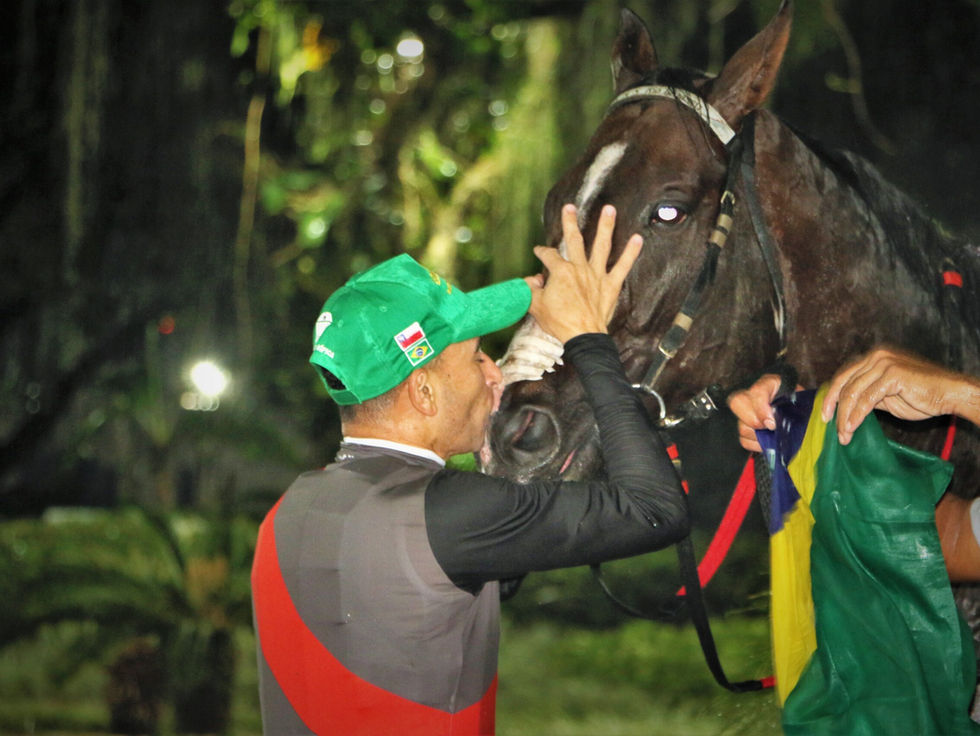 Obataye, el mejor caballo de Sudamérica, se lesionó y fue retirado
