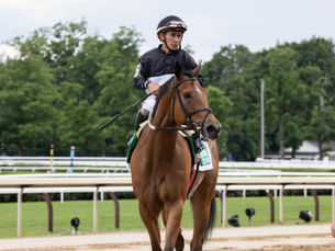 Paco López Handed 30-Day Suspension Following Multi-Horse Incident at Saratoga