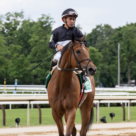 Paco López Handed 30-Day Suspension Following Multi-Horse Incident at Saratoga