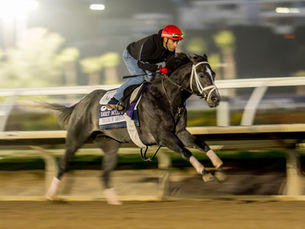 Touch of Destiny, el orgullo uruguayo que hará historia en la Breeders’ Cup