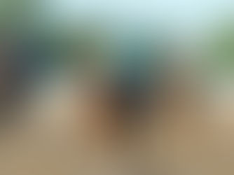 Vida Real liquidó en la partida el resultado del Handicap Perrier