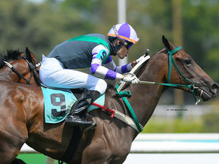 El Chevalier tendrá solo 4 participantes; 6 potrancas en el Eliseo Ramírez