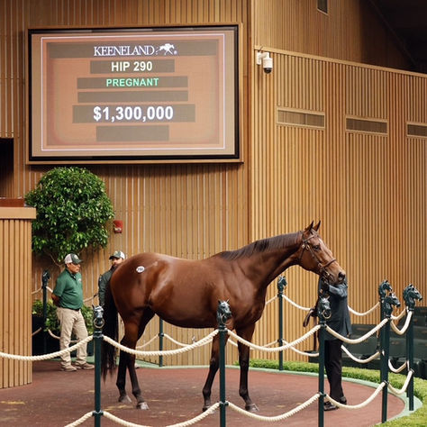 Anywho lideró una vibrante segunda jornada en Keeneland November