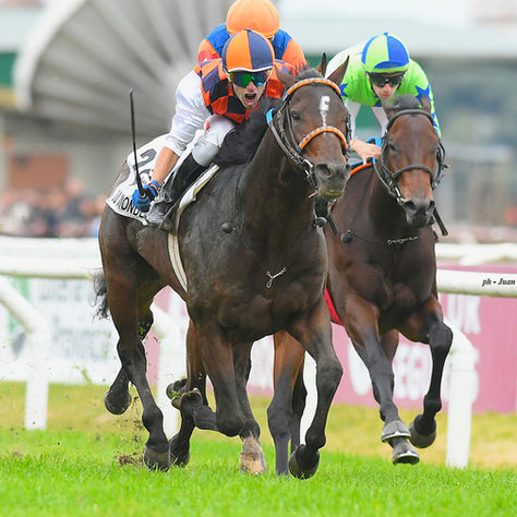 Juvenile Fillies y Juvenile, con el peso de ser Estrellas fundadoras