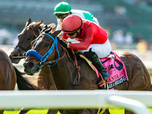 Con tropiezos, la argentina Queen Sienna llegó a 3 1/4 cuerpos en el Santa Ana Stakes