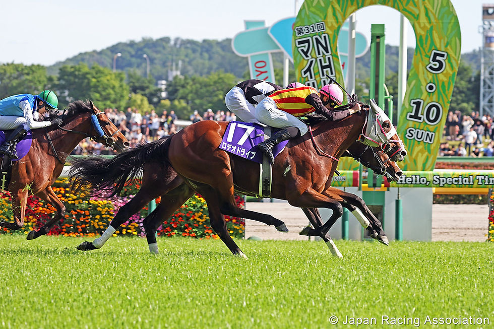 Rodeo Drive and a last-moment strike to win the NHK Mile Cup
