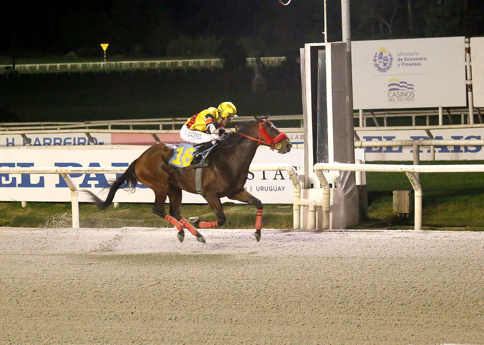 Tadow Star pulled away effortlessly in the Polla de Potrillos / MAROÑAS