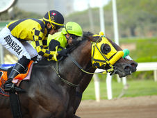 Super Omarcito delivered another Argentine stakes victory at Monterrico