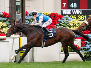 Fabre eterno: Sosie le dio al maestro francés un cuarto Hong Kong Vase en la semana de sus 80 años