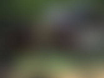 Joel Rosario, el dueño de Belmont: doblete de G1 con Iron Orchard y Napoleon Solo