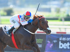 Sargento Morris returns to action in Palermo's feature race