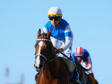 The Mile Raises the Bar with Colifato Novo, Drive Joy, and Earth God, Among Others