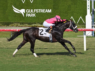 Gran Oriente, grito chileno en el Mr. Steele Stakes de Gulfstream Park