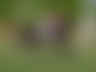 Gran Oriente, grito chileno en el Mr. Steele Stakes de Gulfstream Park