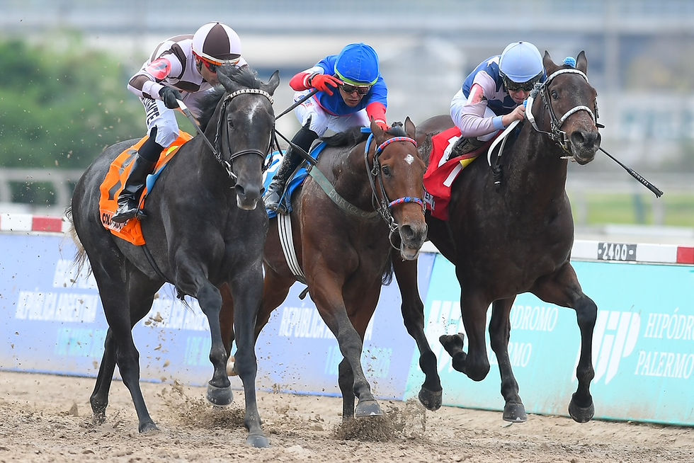 Emotion Rate won the Gran Premio Montevideo via disqualification and broke his maiden