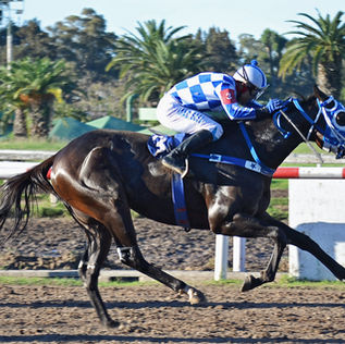 Cuando parecía perdido, Arcanum resurgió para un triunfo espectacular