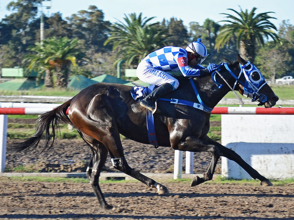 Cuando parecía perdido, Arcanum resurgió para un triunfo espectacular