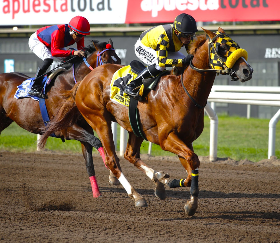 Super Lulito got his revenge and proved strong once again at Monterrico