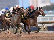 Commandment pasó la prueba de las dos curvas y se mete de lleno en la ruta al Derby