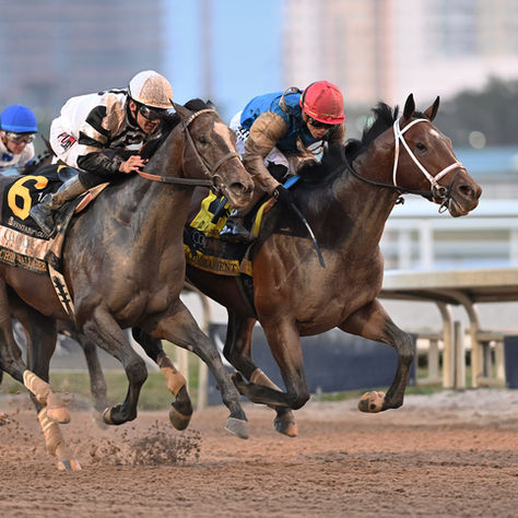 Commandment pasó la prueba de las dos curvas y se mete de lleno en la ruta al Derby