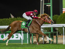 Arabia Saudita ya tiene su primer G1 en césped: el Neom Howden Turf Cup da un salto histórico