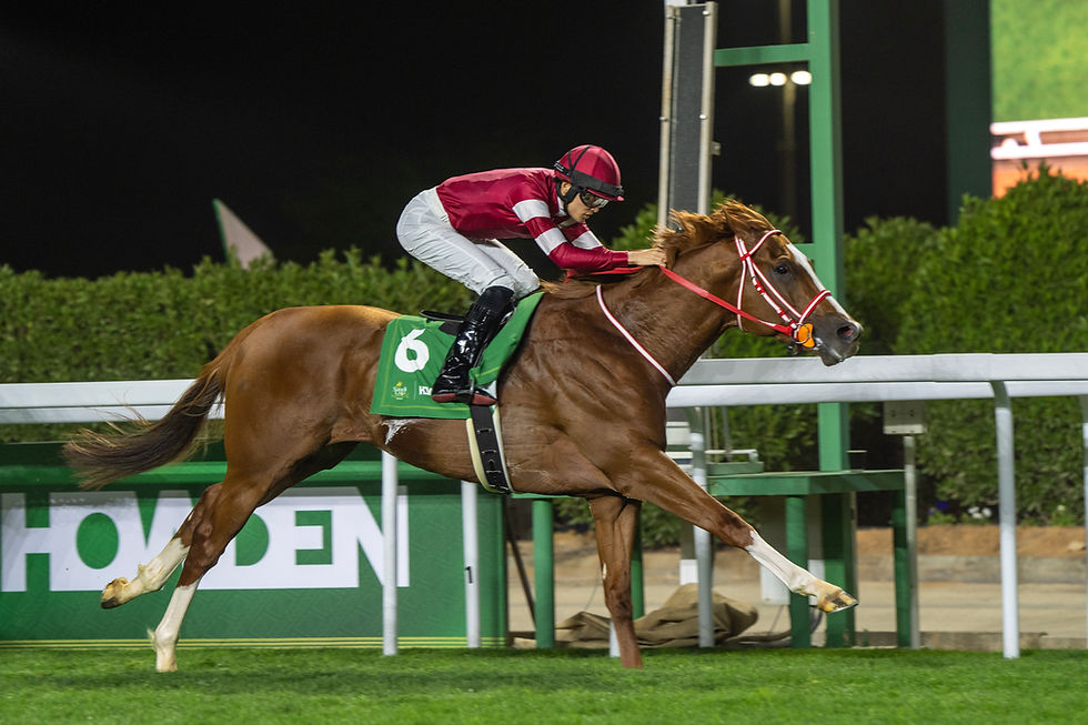 Arabia Saudita ya tiene su primer G1 en césped: el Neom Howden Turf Cup da un salto histórico
