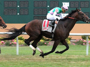 Courtier encontró con Obataye su consagración definitiva como padrillo